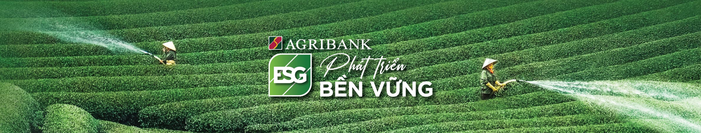 Banner Agribank