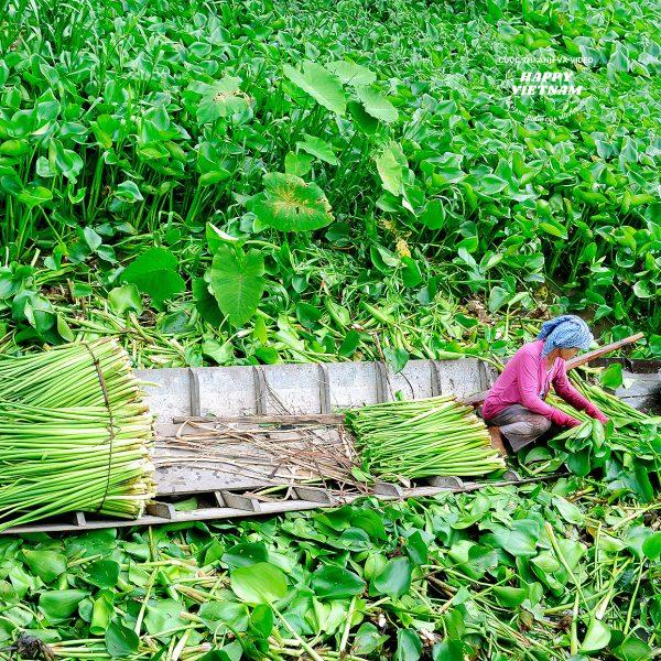 Tác phẩm số 6145