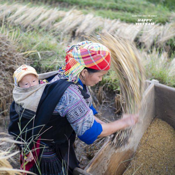 Tác phẩm số 5628