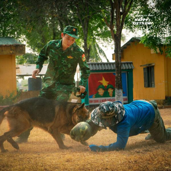 Tác phẩm số 11050