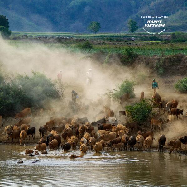 Tác phẩm số 17022