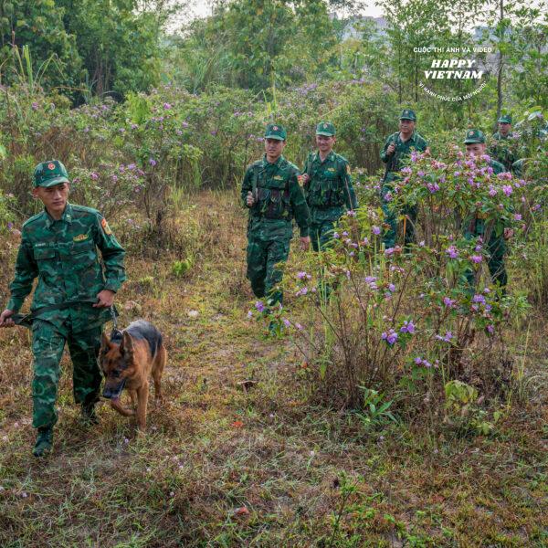 Tác phẩm số 14913