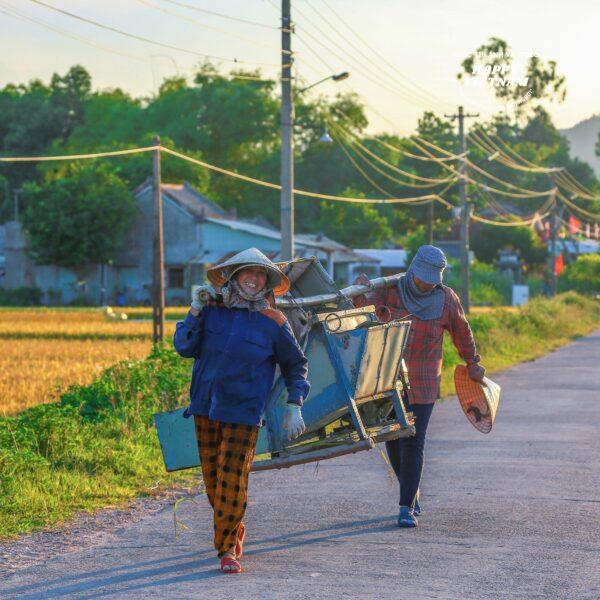 Tác phẩm số 25984