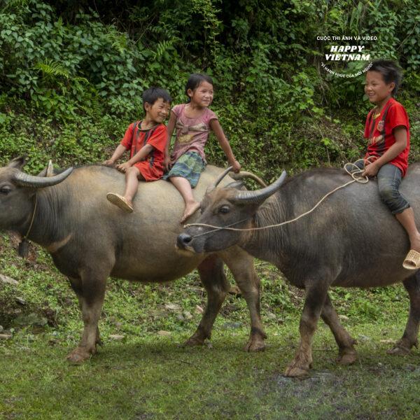Tuổi thơ ở miền quê