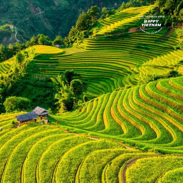 Đường nét vùng cao