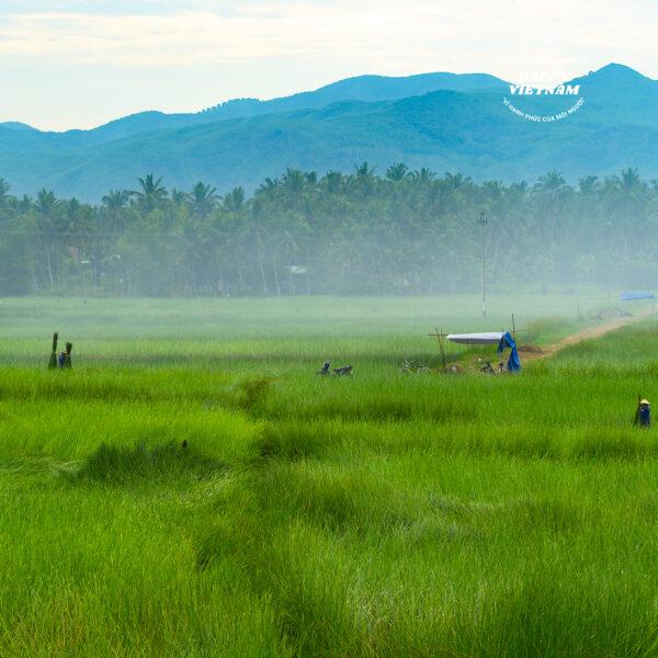 Tác phẩm số 590668