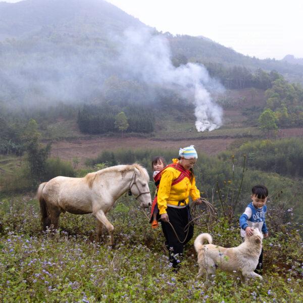 Tác phẩm số 589209