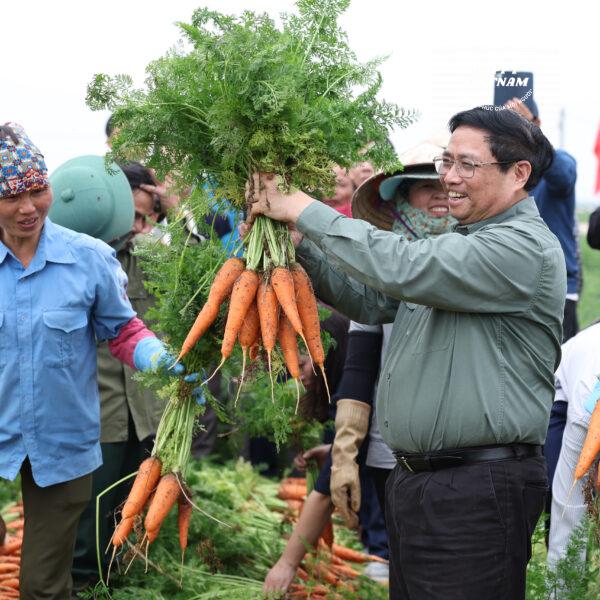 Tác phẩm số 593535