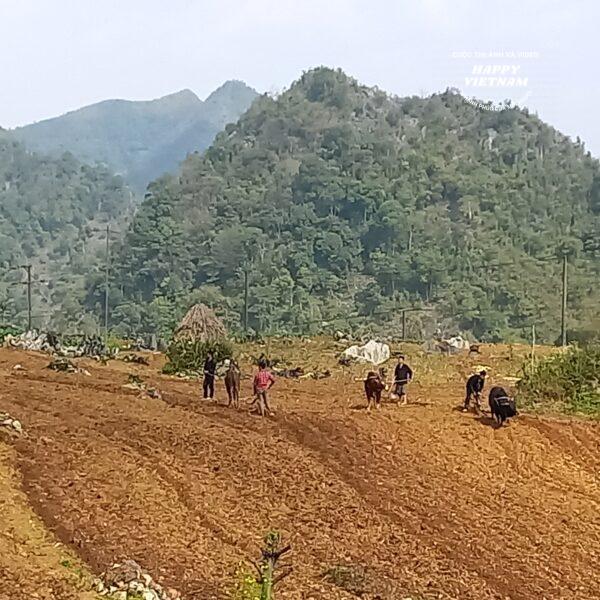 Tác phẩm số 596012