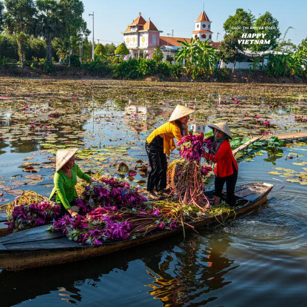 Tác phẩm số 603431